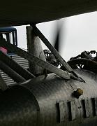 IMG_4991