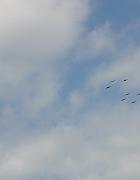 IMG_5120
