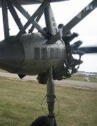 IMG_1671